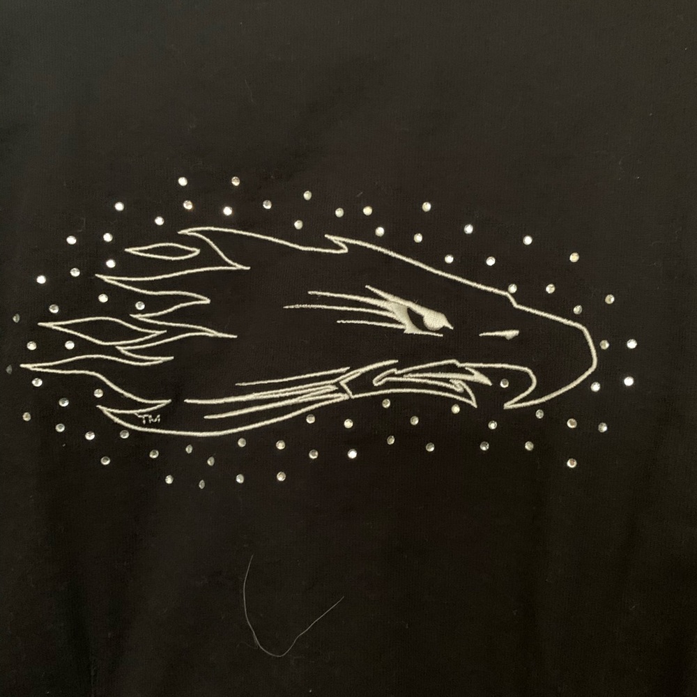 Harley Davidson screamin eagle top